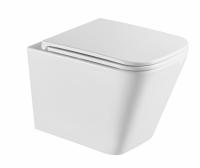 Унитаз подвесной безободковый Terminus Ватикан 49 см 03W49x34W