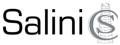 Salini_logo