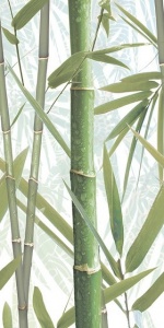 Декор AltaCera Luster Bamboo 1 24,9x50 см