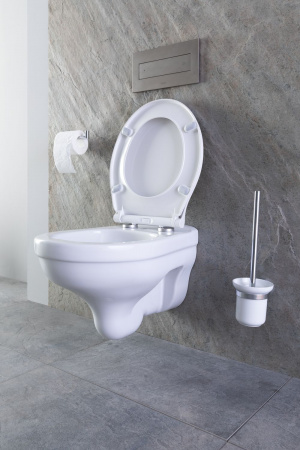 Фото ершик для унитаза allen brau priority 6.31008-bn