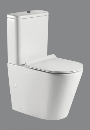 Фото чаша унитаза напольного belbagno flay-r bb2149cpr