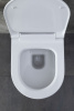 Фото унитаз с инсталляцией allen brau priority 00316508