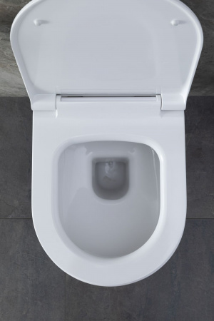 Фото унитаз с инсталляцией allen brau priority 00316508