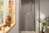Фото смеситель для душа hansgrohe rebris e 72668000