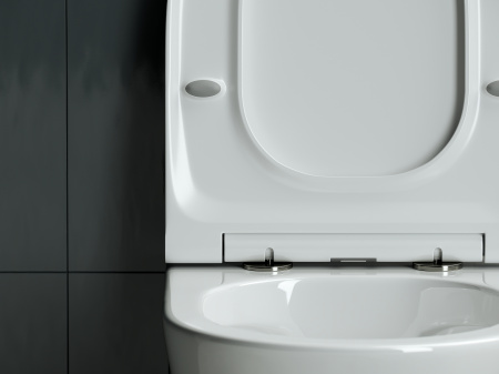 Фото унитаз подвесной, безободковый ceramicanova forma cn3011