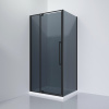 Душевое ограждение Black&White Stellar Wind 100x80 см S818 BG
