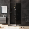 Фото душевая дверь am.pm gem 100 см w90g-100-1-195bg
