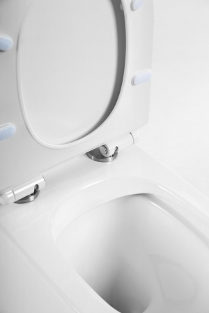 Фото чаша унитаза напольного belbagno flay-r bb2149cpr