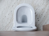 Фото унитаз подвесной, безободковый ceramicanova balearica cn6000