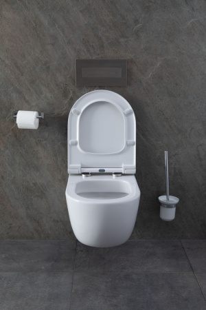 Фото унитаз с инсталляцией allen brau priority 00316508