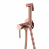 Смеситель с гигиеническим душем Abber Wasser Kreis AF8125RG