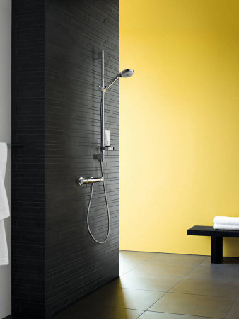 Фото душевая лейка hansgrohe croma 100 vario 28535000