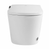 Фото унитаз с инсталляцией abber bequem ac1119s-ac0101p2