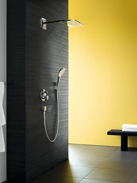 Фото душевая лейка hansgrohe raindance select s 150 air 3jet 28587000