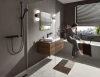 Фото смеситель для душа hansgrohe vivenis 75620670