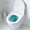 Фото унитаз с инсталляцией am.pm sense is100151.741701