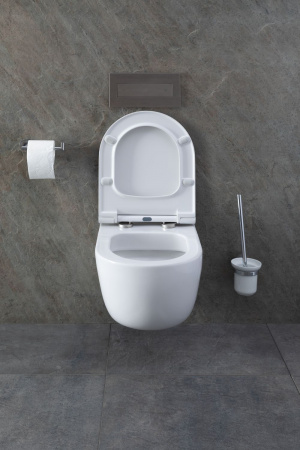 Фото унитаз с инсталляцией allen brau priority 00316509