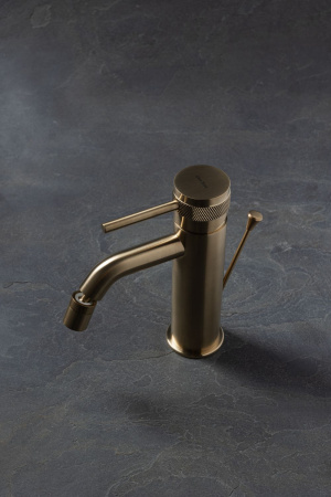 Фото смеситель для биде allen brau priority 5.31a04-gb золото