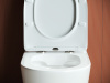 Фото унитаз-компакт, безободковый без бачка ceramicanova highlight cn1802-b