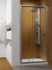 Душевая дверь Radaway Premium Plus DWJ 120 см 33313-01-01N