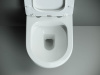 Фото унитаз подвесной, безободковый ceramicanova mono cn1905