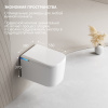 Фото унитаз с инсталляцией abber rechteck ac1216s-ac0101p2