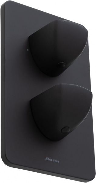 Фото смеситель для ванны allen brau infinity 5.21216-31 черный матовый