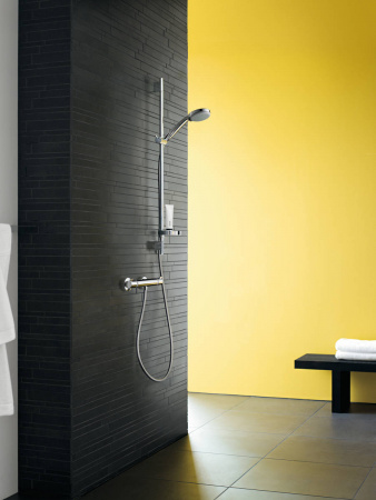 Фото душевая лейка hansgrohe croma 100 multi 28536000
