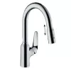 Смеситель для кухонной мойки Hansgrohe Focus 71862000