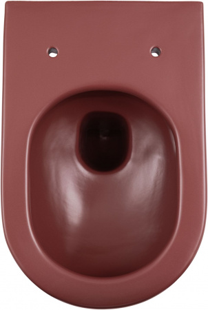 Фото унитаз подвесной allen brau reality 4.32015.bd бордо