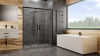 Фото душевая дверь radaway idea black dwd 170 см 387127-54-01