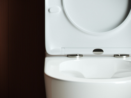 Фото унитаз-компакт, безободковый без бачка ceramicanova highlight cn1802-b