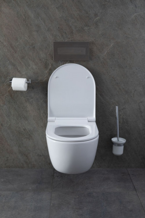 Фото унитаз с инсталляцией allen brau priority 00316508