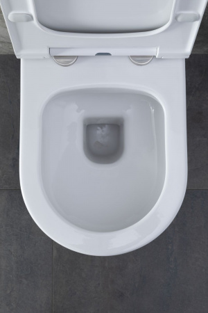 Фото унитаз с инсталляцией allen brau priority 00316508