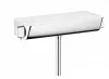 Термостатический смеситель для душа Hansgrohe Ecostat Select 13111400