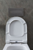 Фото унитаз с инсталляцией allen brau priority 00316509