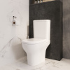 Фото унитаз-компакт напольный vitra zentrum 9824b003-7219